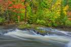 Canada-Ontario Berry Creek landscape Art Print